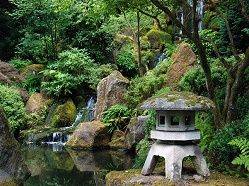 пруд в японском саду.jpg